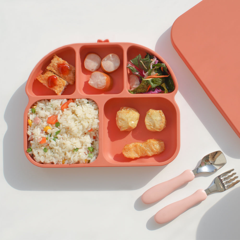 Pané Silicone Suction Plate (with lid)